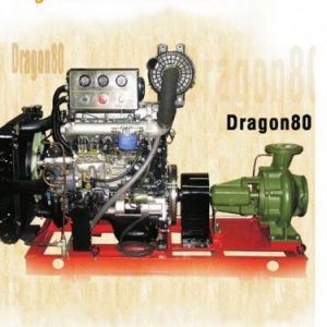Máy bơm chữa cháy HYUNDAI Dragon80
