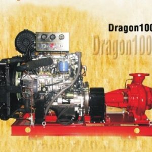 Máy bơm chữa cháy HYUNDAI Dragon100